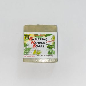 Bumpiing Natural Soaps Aloe 4.5oz