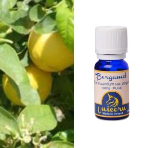 Bergamot