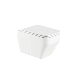 Wall Hung Water Closet