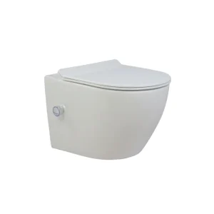 Wall Hung Water Closet with Jet